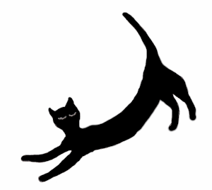 Crescent Moon cat yoga asana