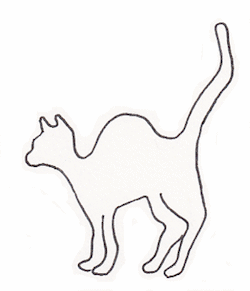 high cat, or upward cat, a popular pose in cat yoga