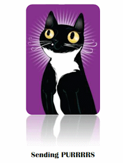 image of the front of our free cat card