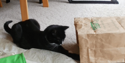 Cat in paper bag, step 1