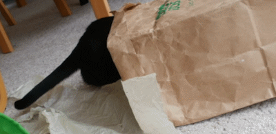 Cat in paper bag, step 3